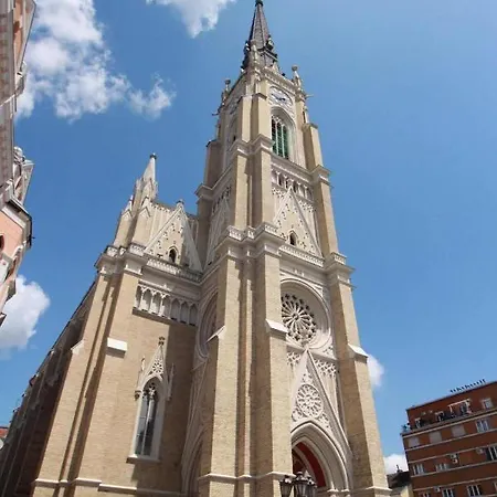 Kalina * Novi Sad